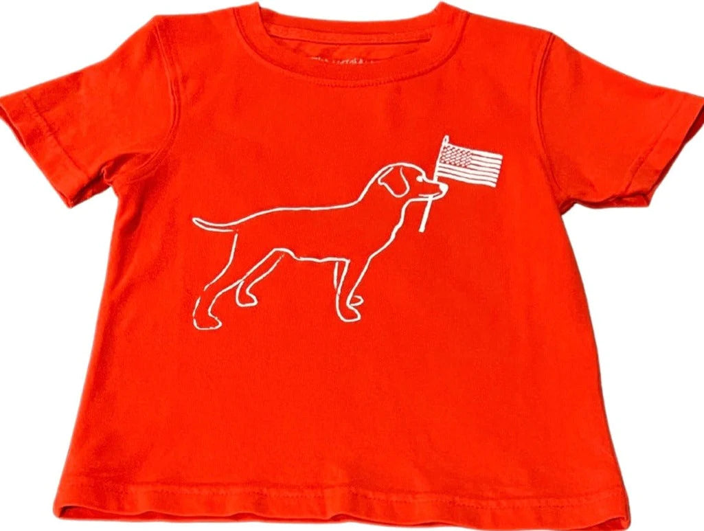 Mustard & Ketchup Red Dog With Flag